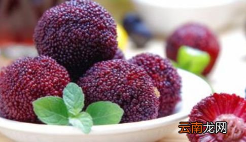 杨梅用盐水泡多久最合适