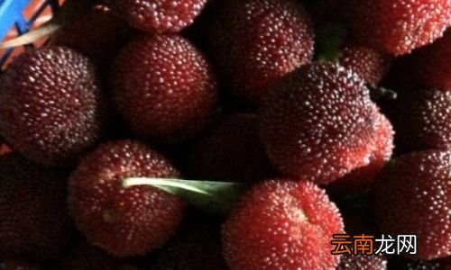 杨梅用盐水能泡干净吗