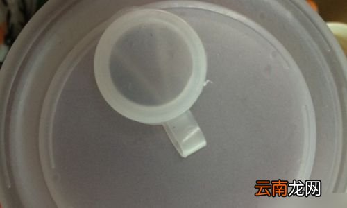 杨梅用盐水能泡干净吗