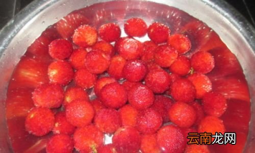 杨梅用盐水能泡干净吗