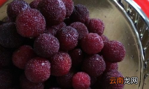 杨梅用盐水能泡干净吗