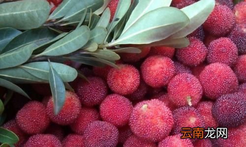 杨梅用盐水能泡干净吗