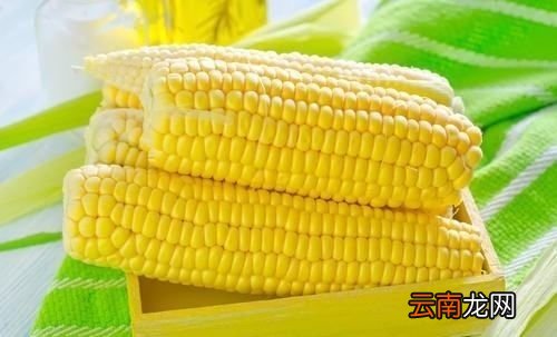 玉米直接冷水下锅煮吗