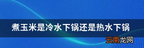 玉米直接冷水下锅煮吗