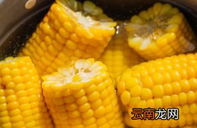 玉米直接冷水下锅煮吗