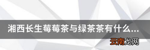 莓茶和茶的区别