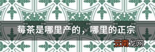 莓茶哪里产最正宗