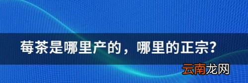 莓茶哪里产最正宗