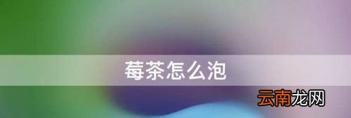 怎样正确泡莓茶