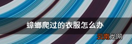 被蟑螂爬过的衣服怎么处理