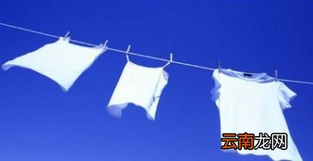 被蟑螂爬过的衣服怎么处理