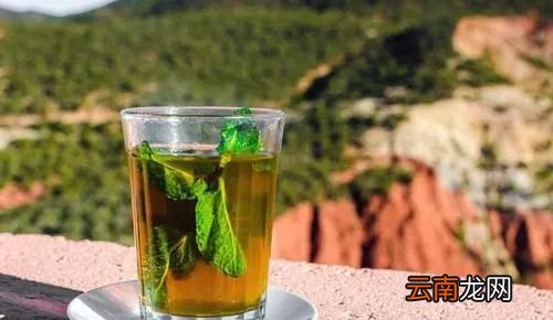 薄荷泡水喝多了对身体好吗