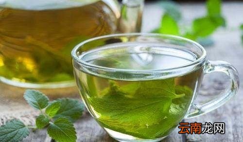 薄荷泡水喝多了对身体好吗