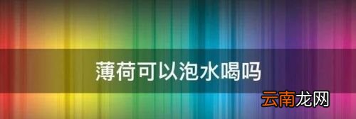 薄荷泡水喝可以天天喝吗