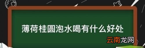 薄荷泡水对人有什么好处