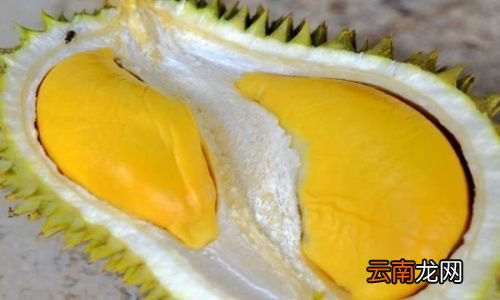 怎么看榴莲肉坏了没有