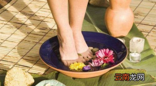 三伏天为什么要除湿气
