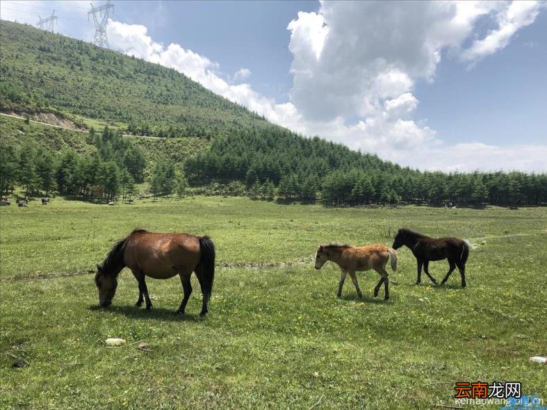 中国贫困山区有哪些具体地址 中国贫困山区真实生活
