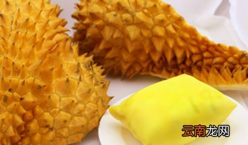 为什么会有死包榴莲