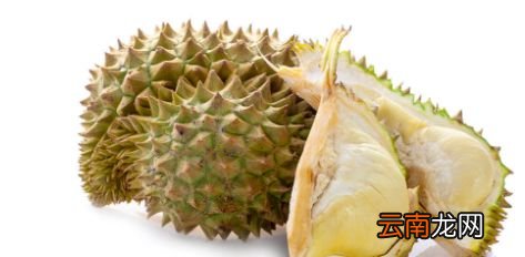 死包榴莲和普通榴莲的区别