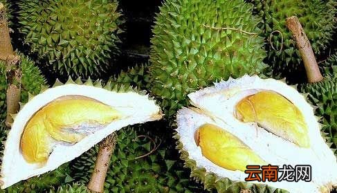 死包榴莲和普通榴莲的区别