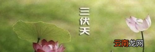三伏天能治月子受凉吗