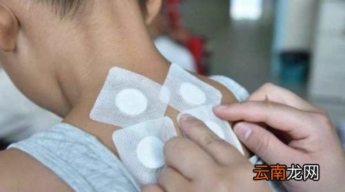 三伏贴是贴哪个部位减肥