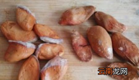 榴莲可以跟排骨煲汤吗