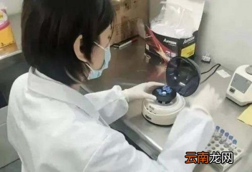 感冒了会不会影响做核酸检测