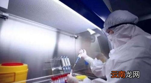 感冒了会不会影响做核酸检测