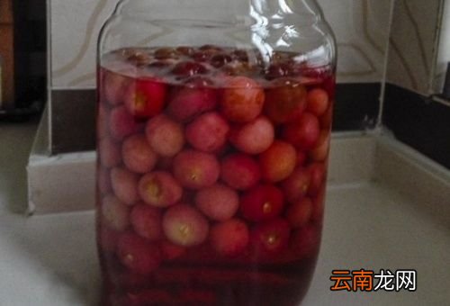 樱桃用多少度的酒为好