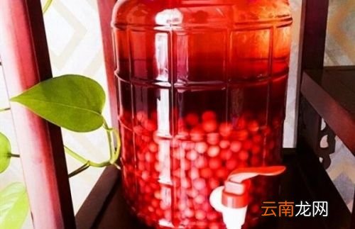 樱桃酿酒多久能喝