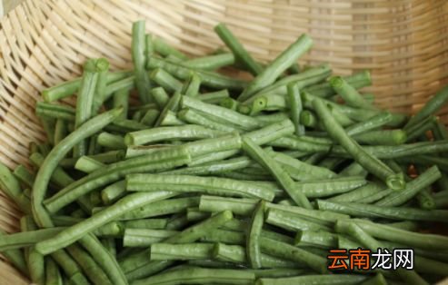 豆角煮多久能好