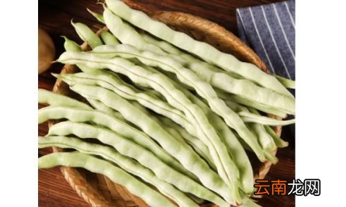 豆角煮太久能吃吗