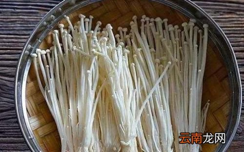 金针菇一般煮多久就熟了