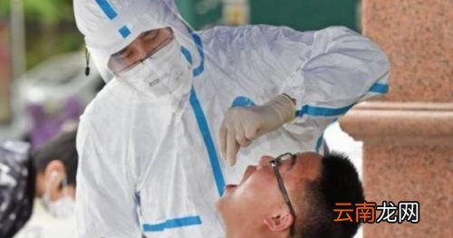 核酸检测电子报告怎么查