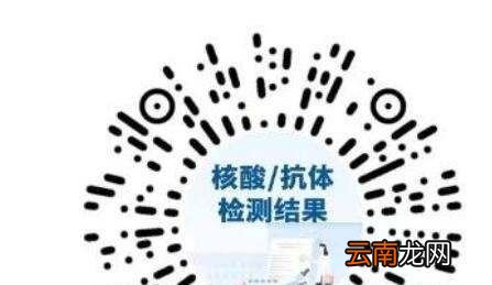 核酸检测电子报告怎么查