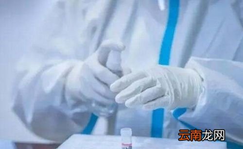 核酸检测电子报告怎么查