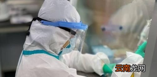 核酸检测电子报告怎么查