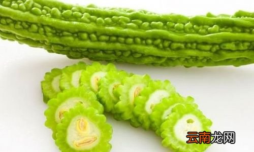 三伏天吃什么最好