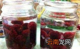 杨梅放多少盐泡多久