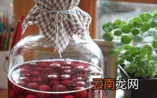 杨梅放多少盐泡多久