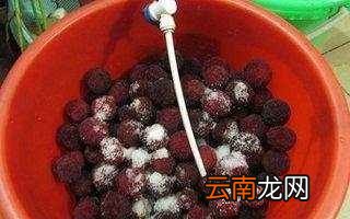 杨梅放多少盐泡多久