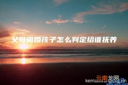 父母离婚孩子怎么判定给谁抚养