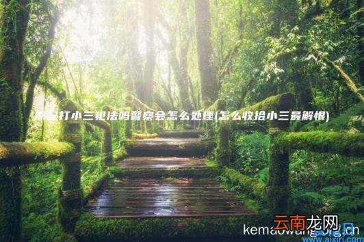 原配打小三犯法吗警察会怎么处理 怎么收拾小三最解恨