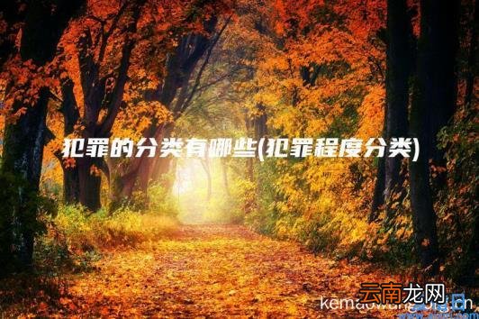 犯罪的分类有哪些 犯罪程度分类