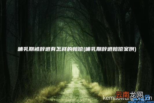 哺乳期被辞退有怎样的赔偿 哺乳期辞退赔偿案例