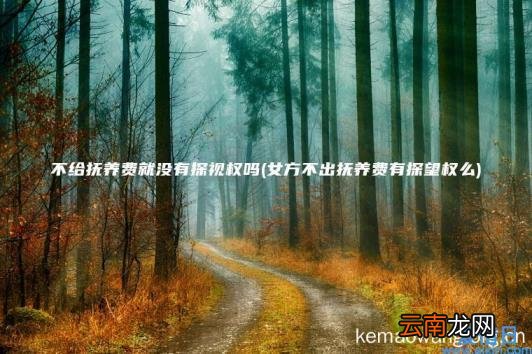 不给抚养费就没有探视权吗 女方不出抚养费有探望权么