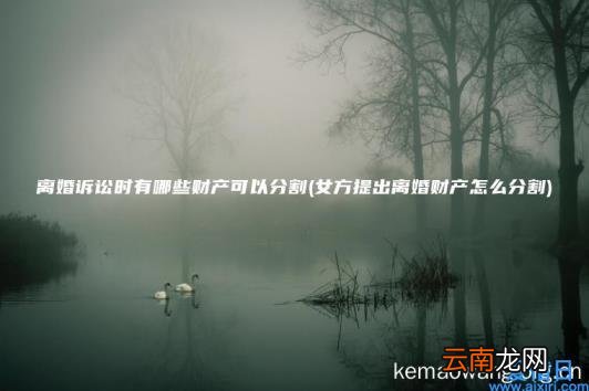 离婚诉讼时有哪些财产可以分割 女方提出离婚财产怎么分割