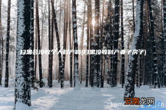 扫黑会没收个人财产吗 扫黑没收财产妻子房子